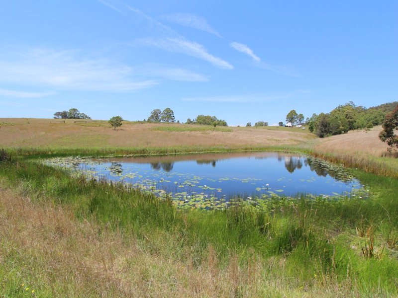 Real Estate in Coolongolook