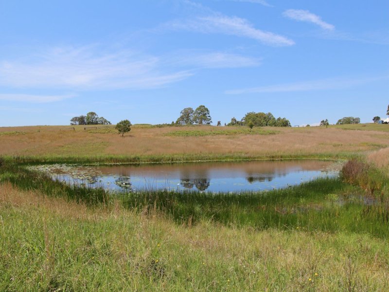 Real Estate in Coolongolook