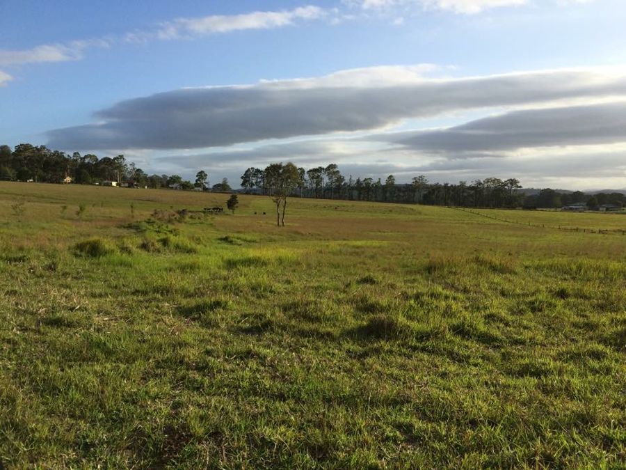 Open for inspection in Dyers Crossing