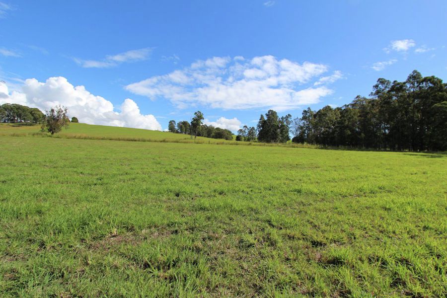 Real Estate in Dyers Crossing