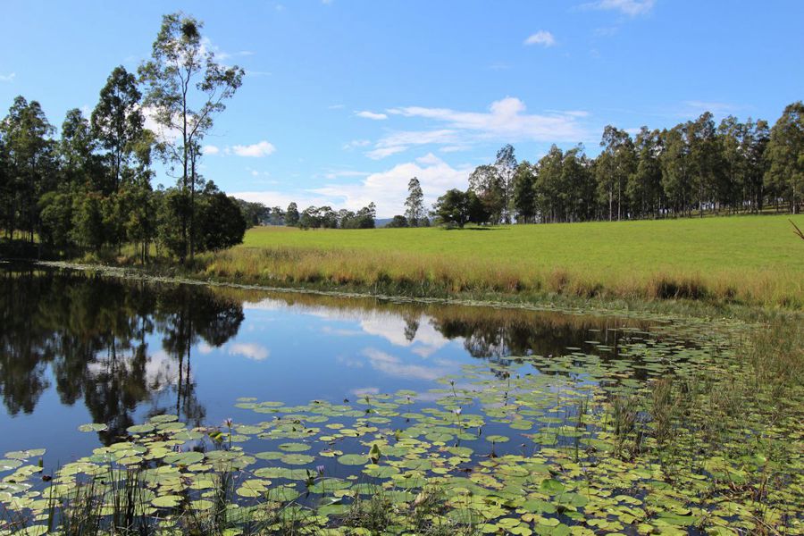 Open for inspection in Dyers Crossing