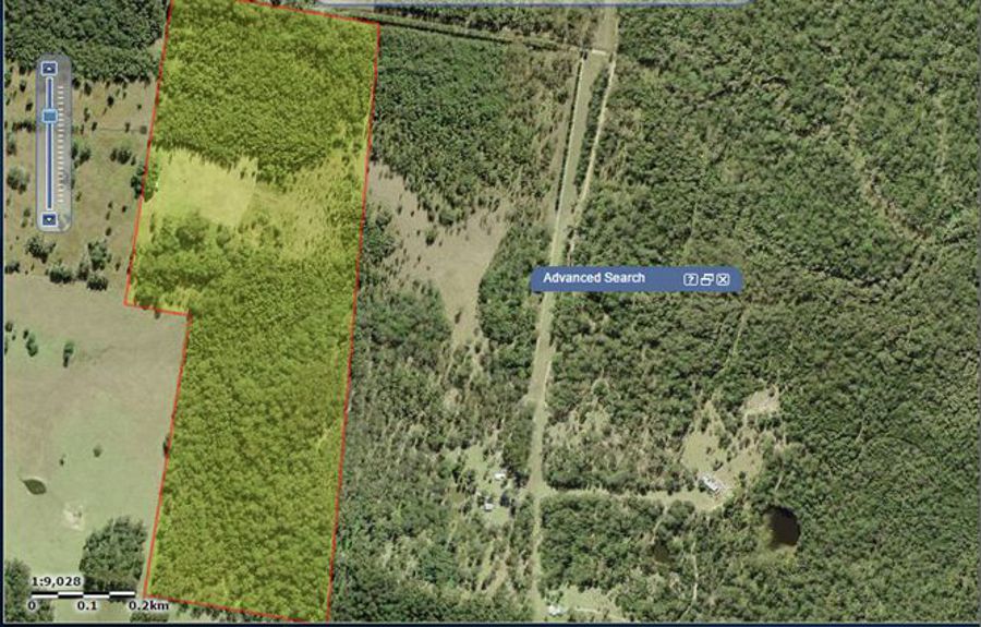 Nabiac Properties Sold