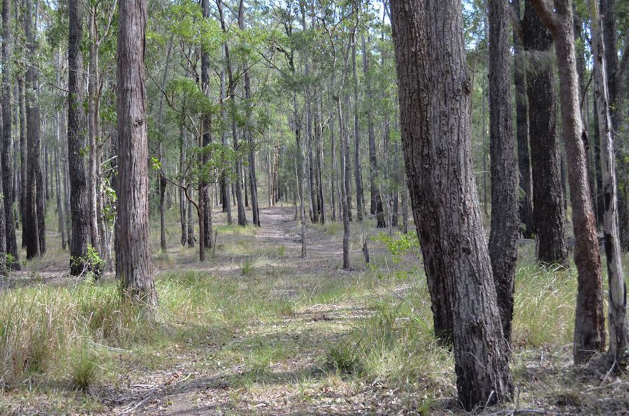 Real Estate in Nabiac