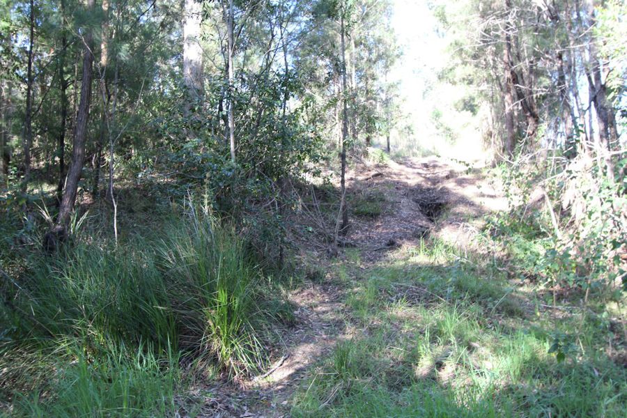 Real Estate in Nabiac