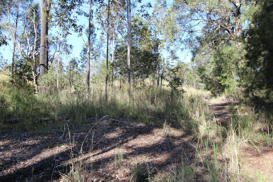 Real Estate in Nabiac