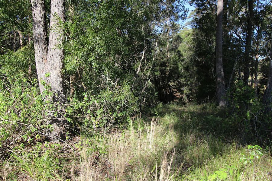 Real Estate in Nabiac