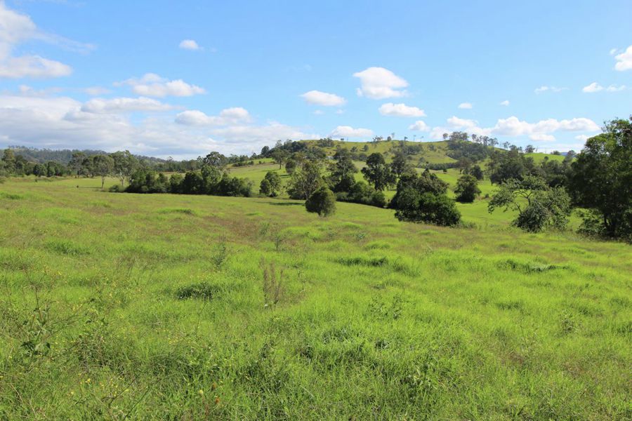 Real Estate in Firefly