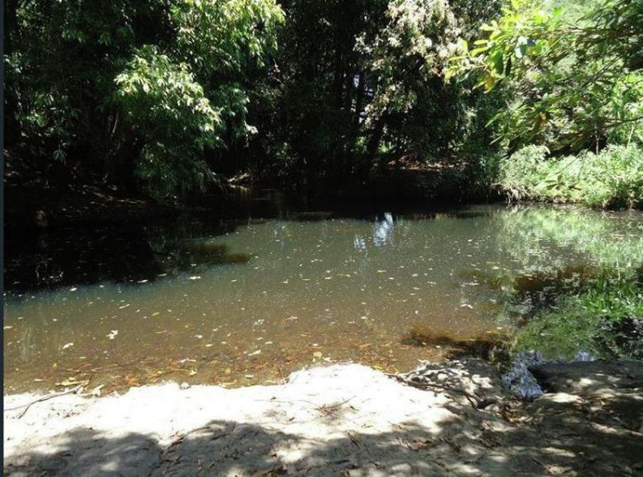 Real Estate in Dyers Crossing