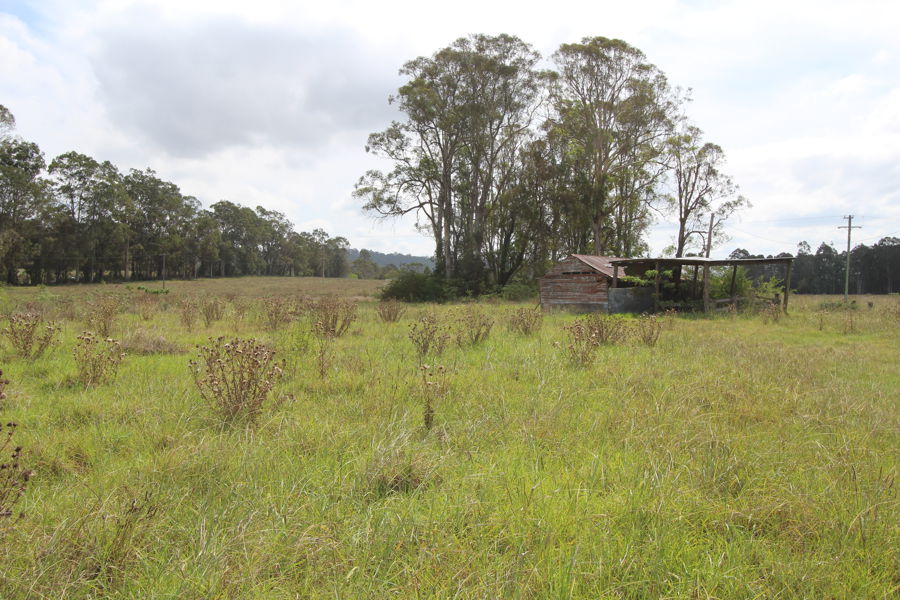 Real Estate in Dyers Crossing