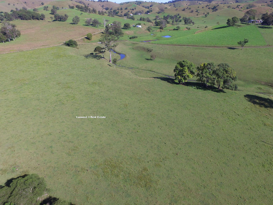 Real Estate in Firefly