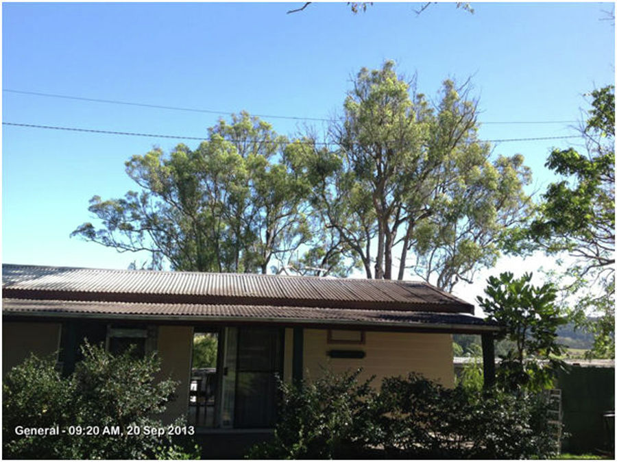 Nabiac real estate Leased