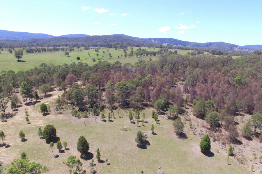 Real Estate in Dyers Crossing