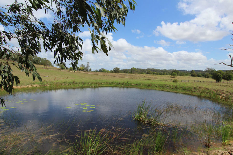 Real Estate in Dyers Crossing