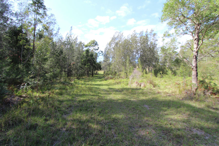 Real Estate in Nabiac