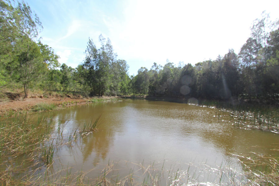 Real Estate in Nabiac