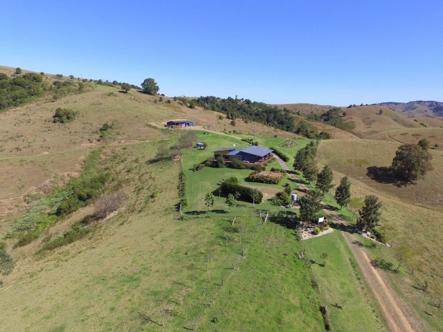 Firefly real estate Leased