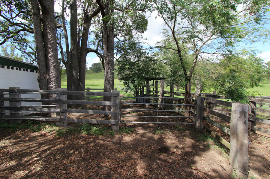 Real Estate in Firefly