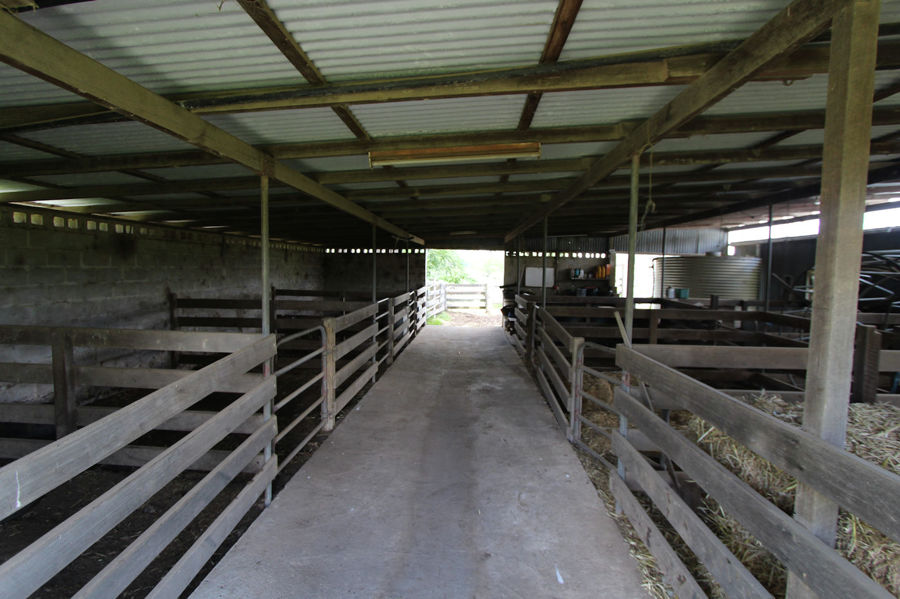 Real Estate in Firefly