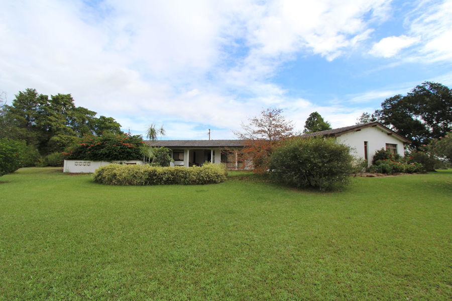 Real Estate in Firefly