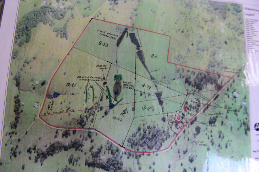 Real Estate in Firefly