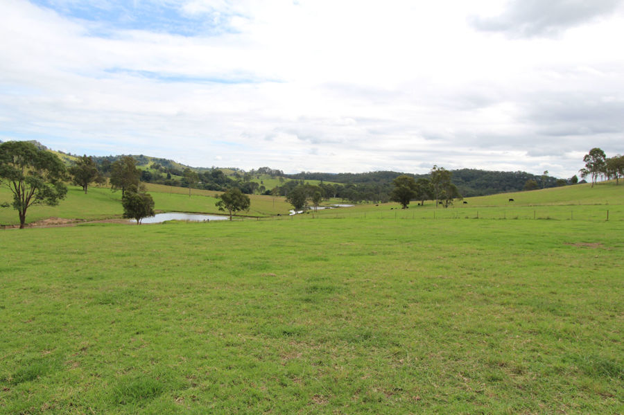 Real Estate in Firefly