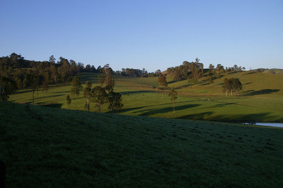 Property Sold in Firefly