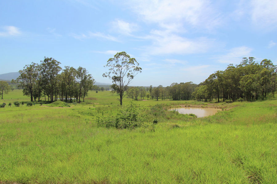 Real Estate in Dyers Crossing