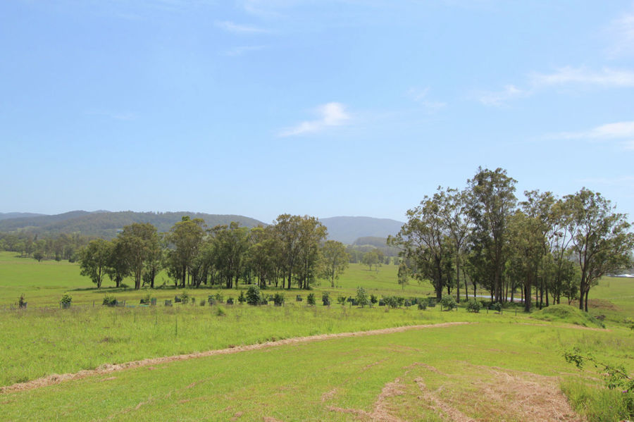 Dyers Crossing Properties Sold