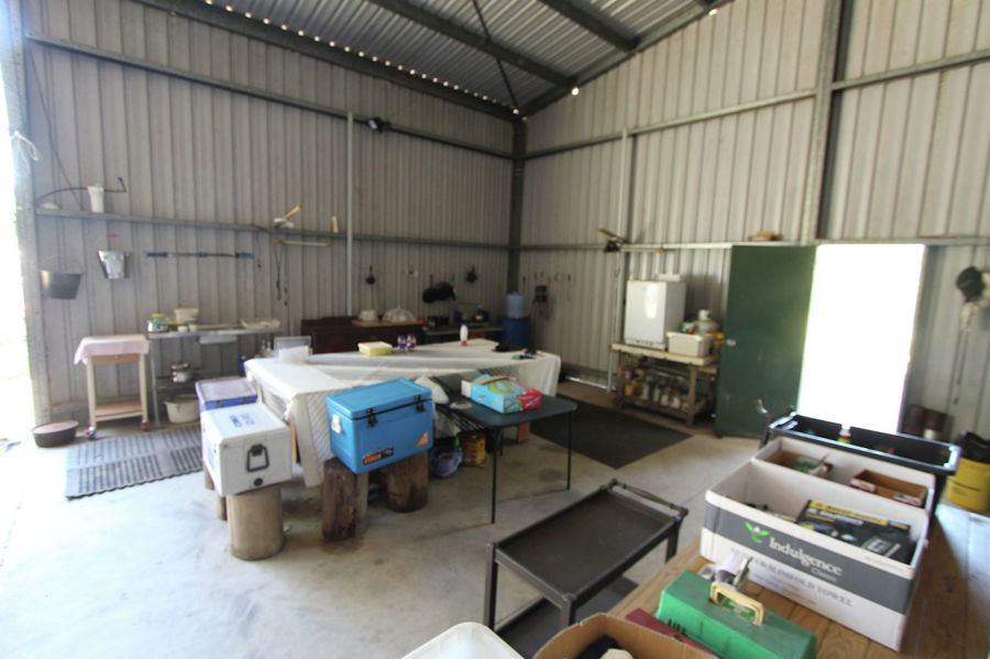 Real Estate in Nabiac