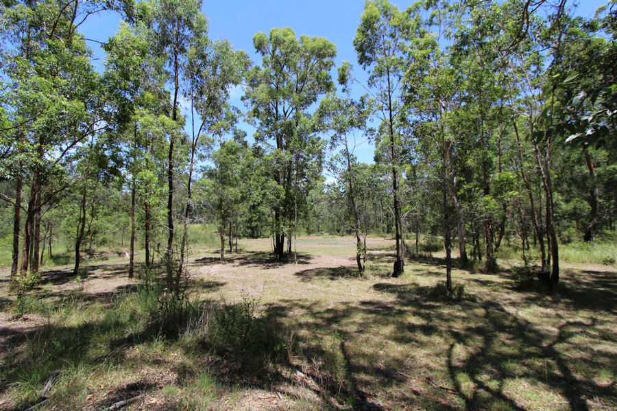 Selling your property in Nabiac