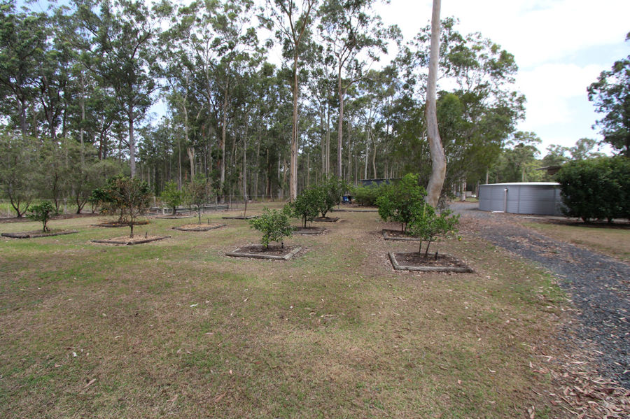 Real Estate in Nabiac