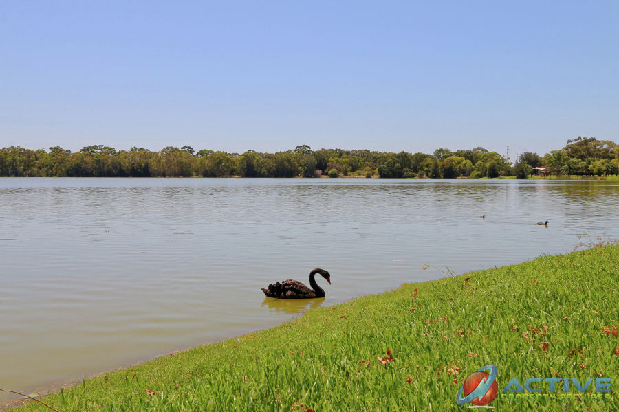 Real Estate in Wembley