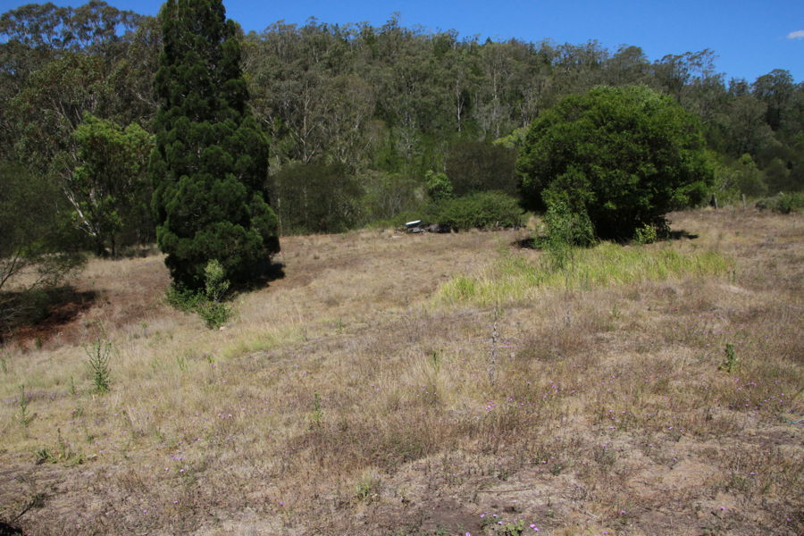 Kev was excellent, going out of his way