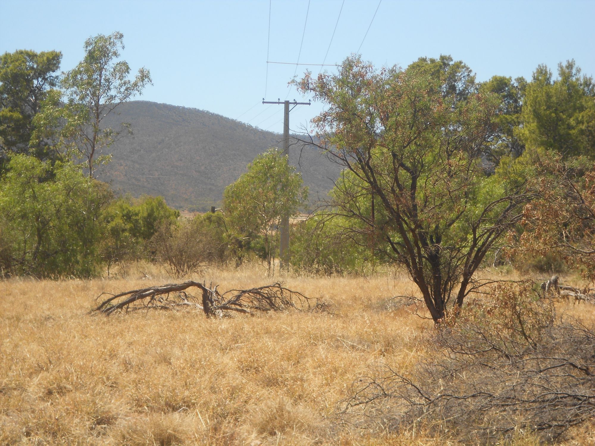 Property For Sale in Nelshaby