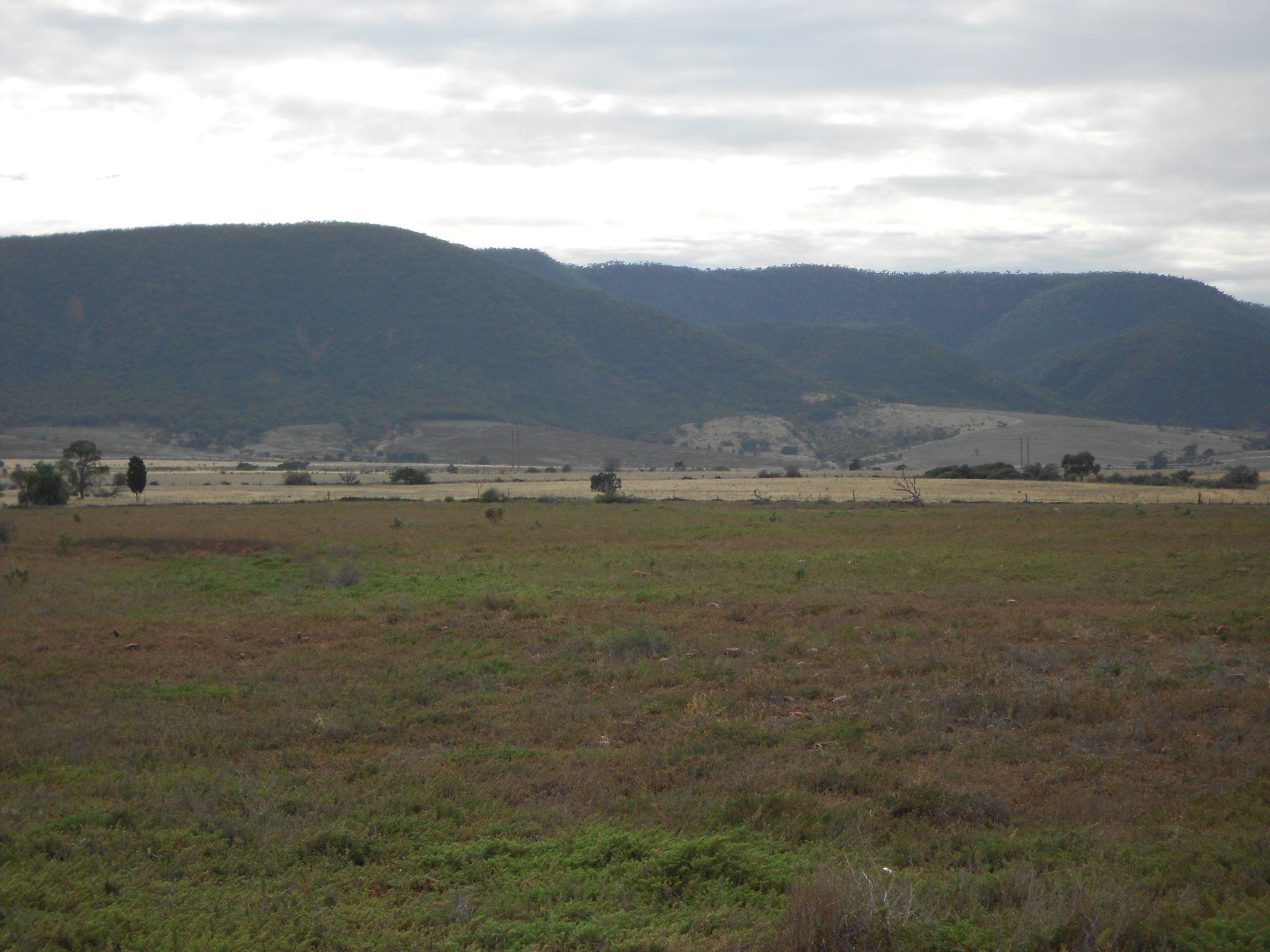 Property For Sale in Napperby