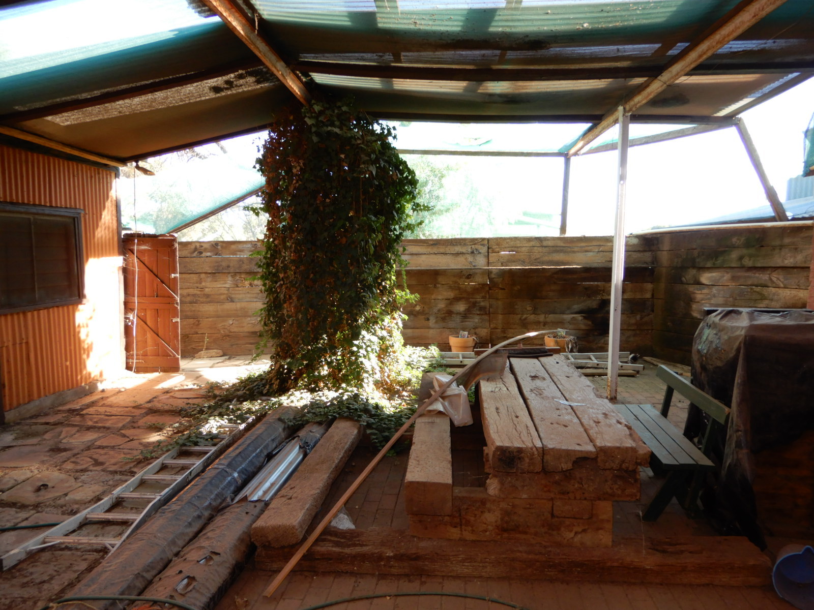 Real Estate in Terowie