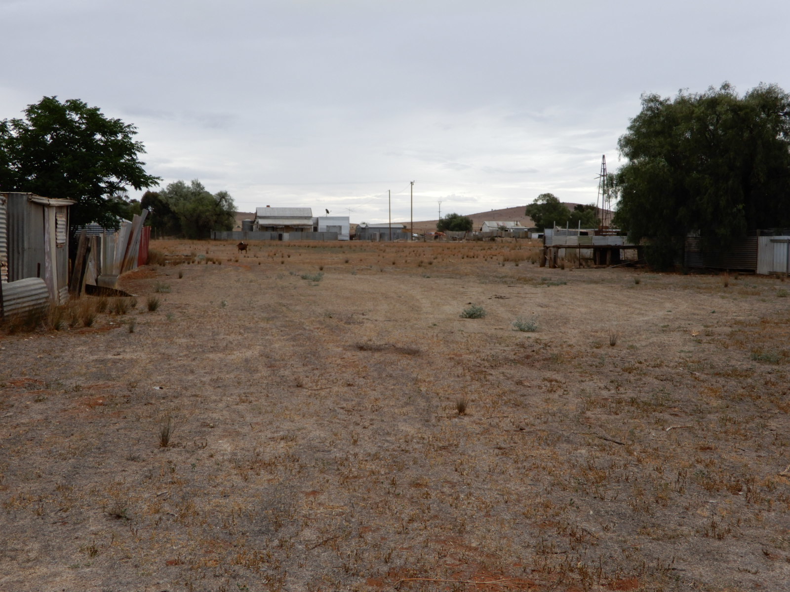 Real Estate in Terowie