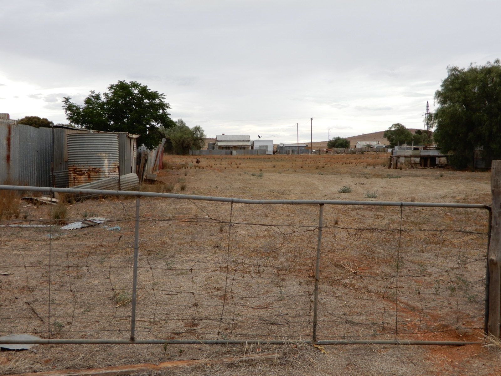 Real Estate in Terowie