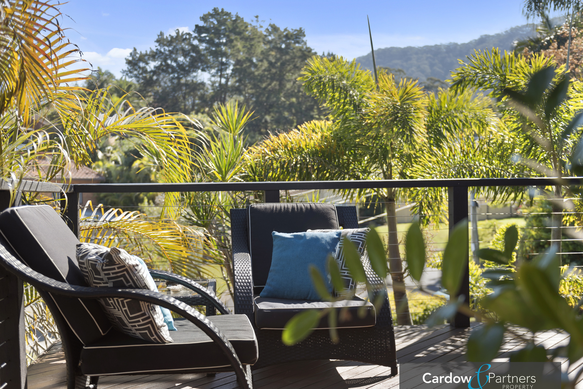 Real Estate in Coffs Harbour