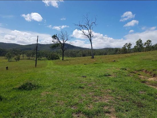 Property in South Ripley - PRICE REDUCED FROM $1.4M TO $1.35M FOR QUICK SALE