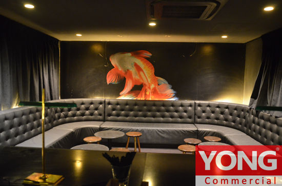 Property in Fortitude Valley - $81,000 + GST PA