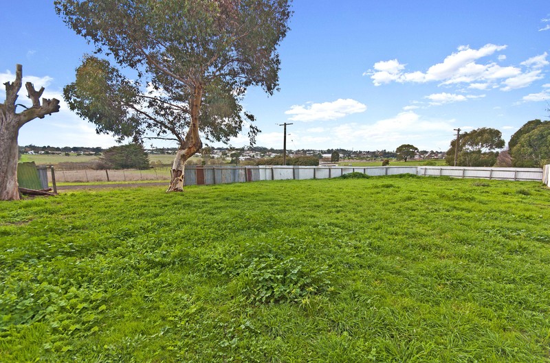 Real Estate in Hamilton