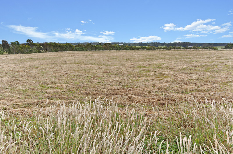 Property For Sale in Hamilton