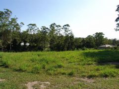 Property in Moonee Beach - Sold