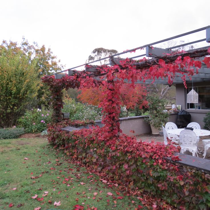 Property in Armidale - Sold for $749,000