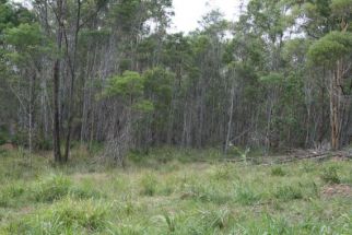 Property in Lanitza - Sold for $102,000