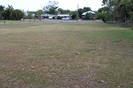 Real Estate in Babinda