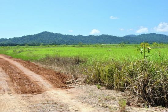 Babinda Properties For Sale