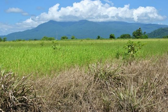 Selling your property in Babinda