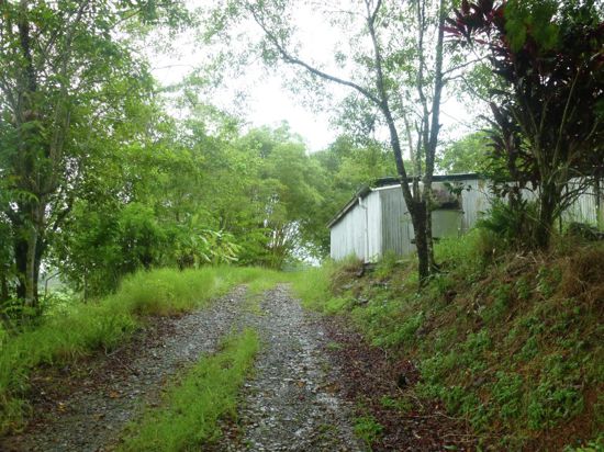 Babinda Properties For Sale